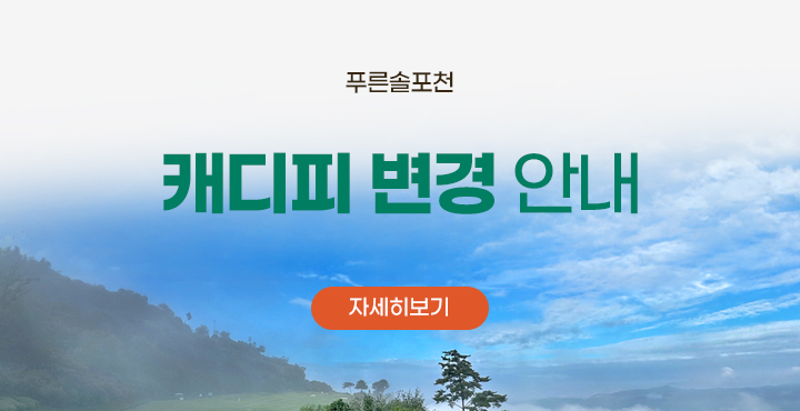 캐디피 변경안내
